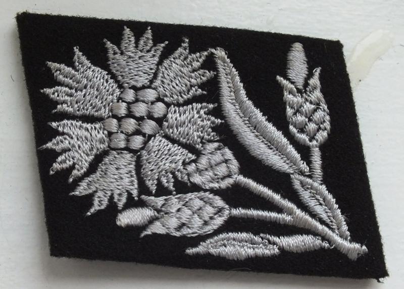 WSS MARIA THERASA COLLAR TAB