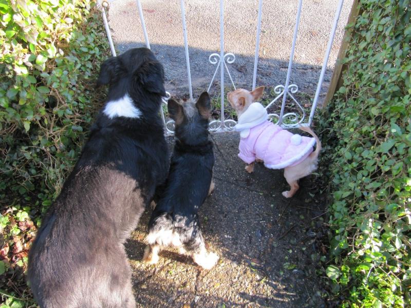 NEW UPDATES BEGIN 15 APRIL